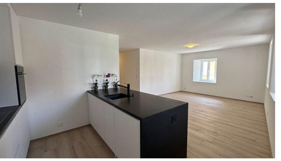 Appartement 4.5 pièces rénové, jardin · photo 2