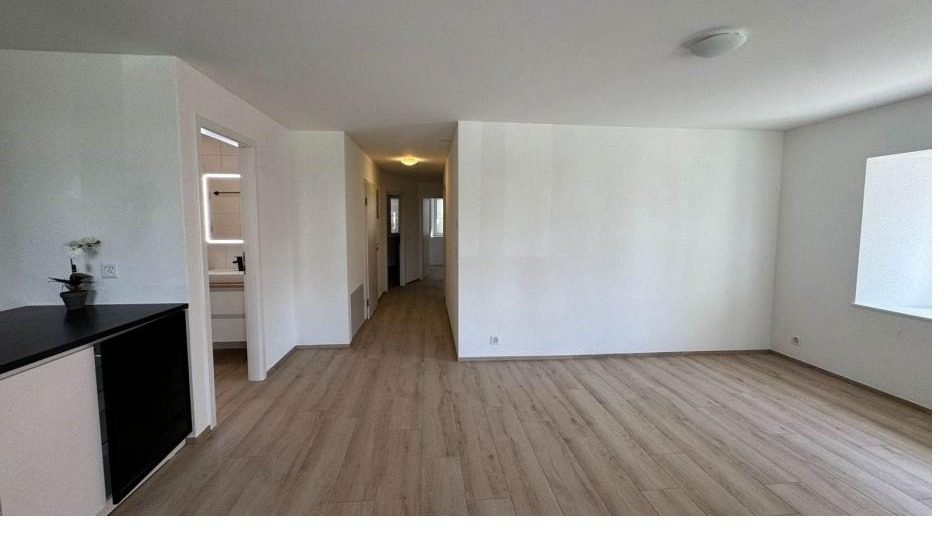 Appartement 4.5 pièces rénové, jardin · photo 3